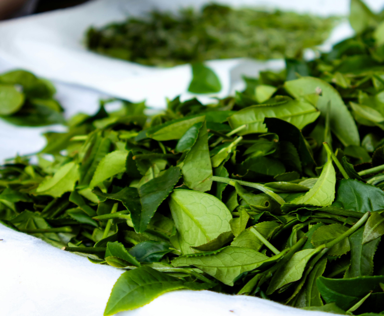 lei-cha-te-macinato-hakka-storia-ricetta-benefici