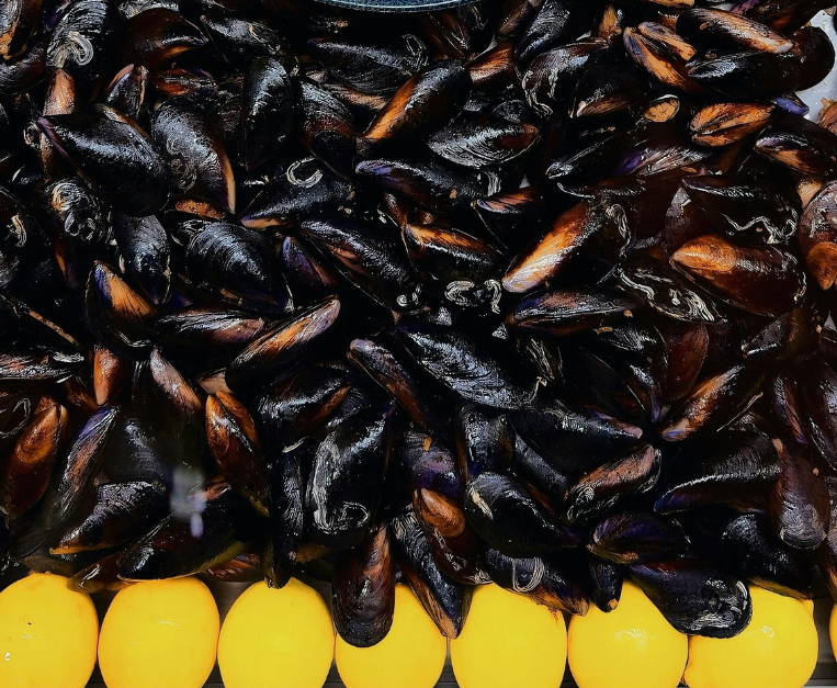 limone-disinfetta-frutti-di-mare-cozze-vongole