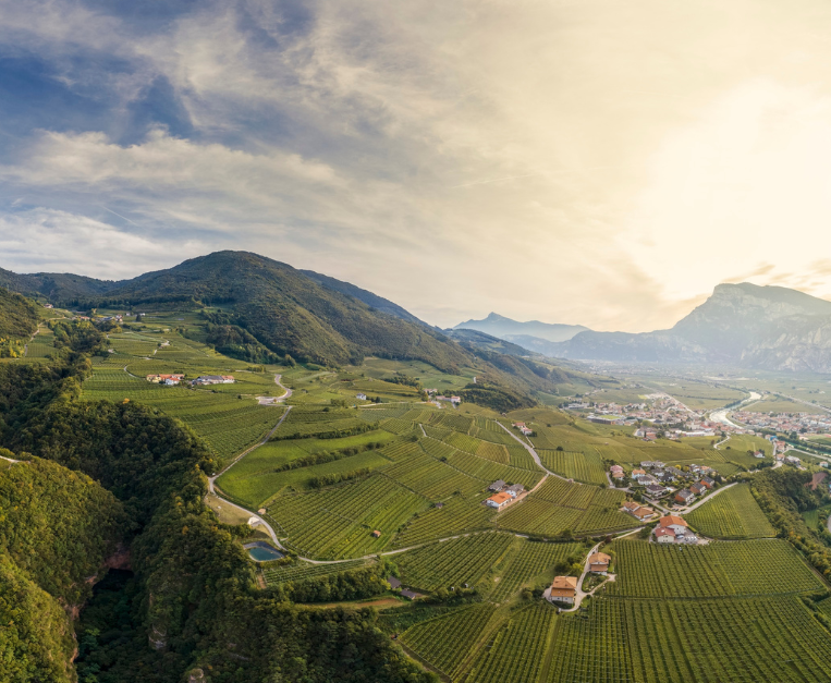 Pojer and Sandri, the end of a 50-year partnership • Food and Wine Italia Pojer and Sandri, the end of a 50-year partnership • Food and Wine Italia