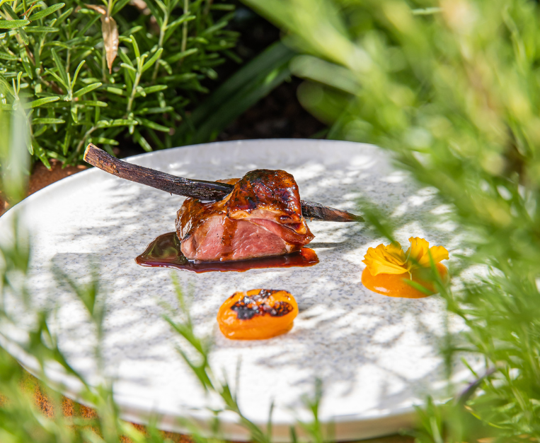 Agnello