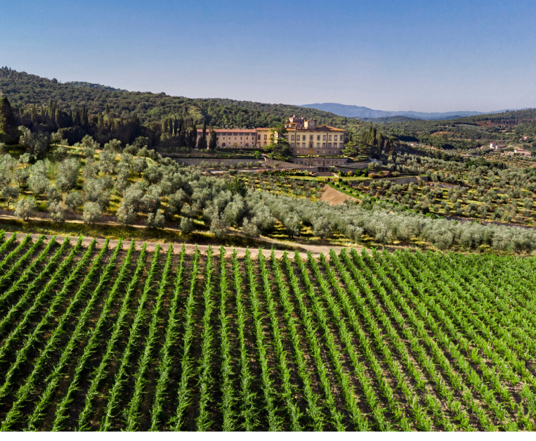 Torre a Cona vigne