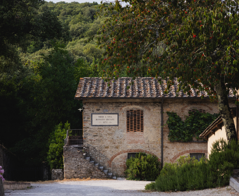 Torre a Cona