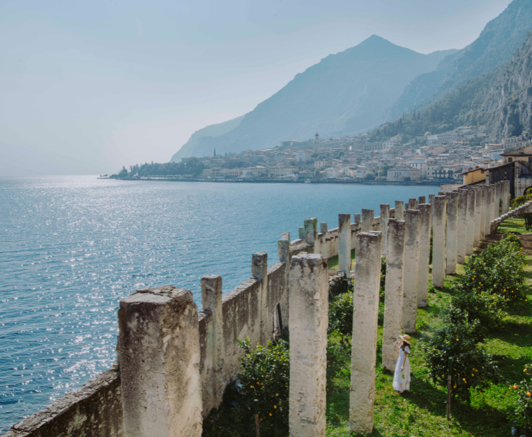 Garda Doc, the 2025 harvest brings low alcohol • Food and Wine Italia