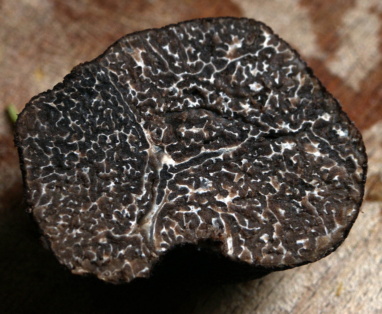 tartufo-aroma-diffusione-mercato