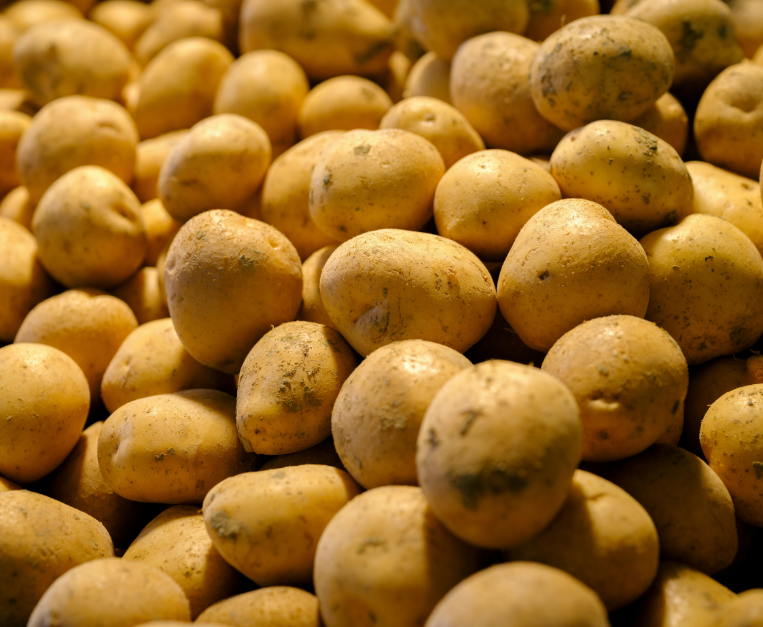 patate-dna-abitanti-ande-vantaggio-evolutivo-studio
