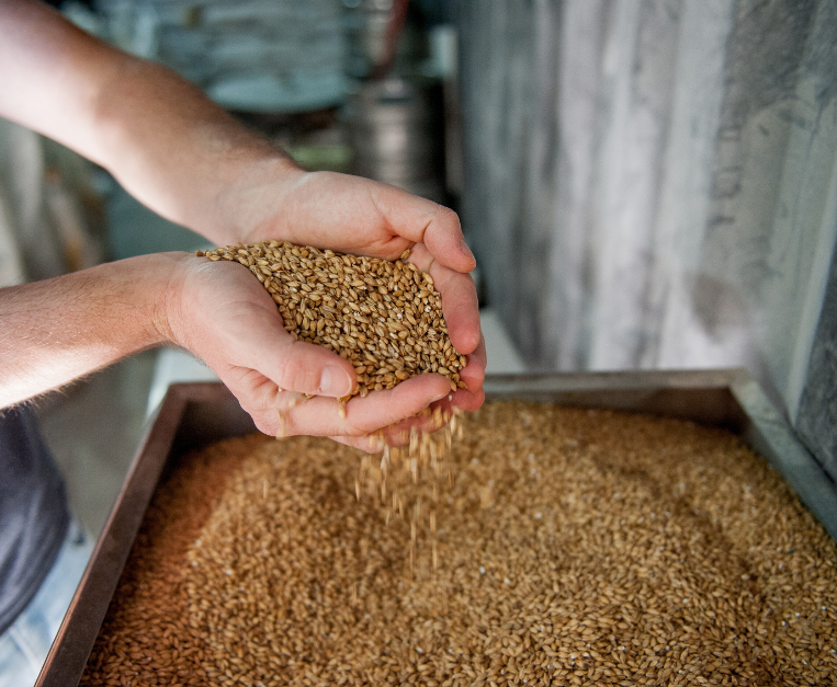 cnr-nuovo-metodo-produzione-birra-cavitazione-idrodinamica