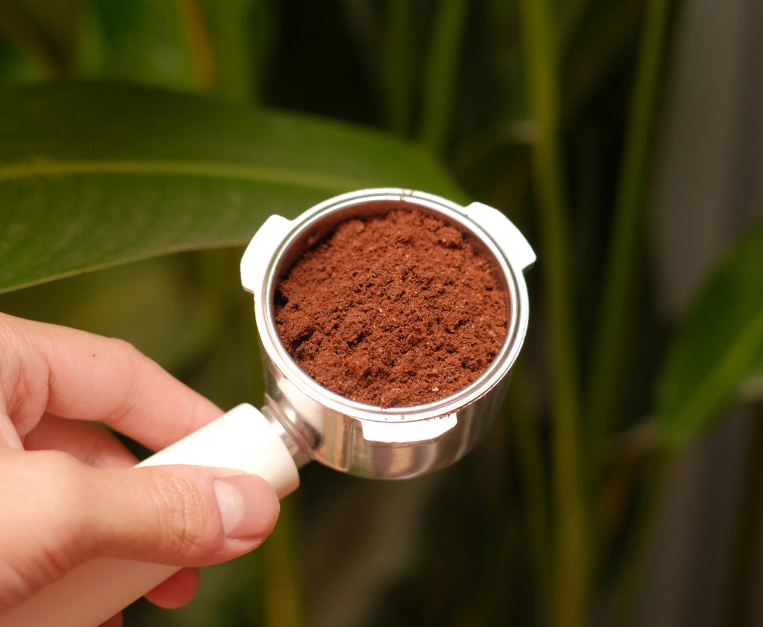fondi-caffe-biochar-ricerca-corea-cambiamento-climatico