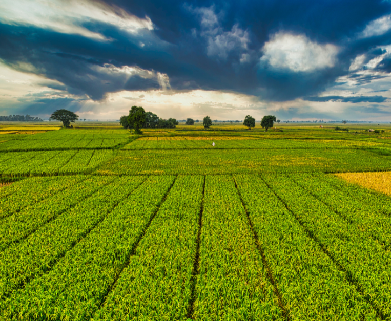 regno-unito-agricoltura-rigenerativa-caldo-record