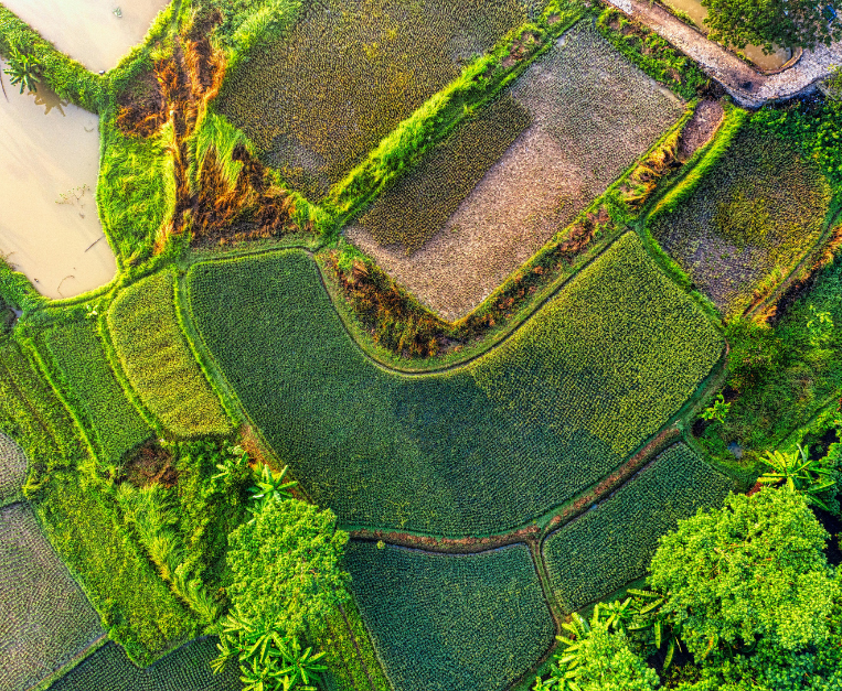 regno-unito-agricoltura-rigenerativa-caldo