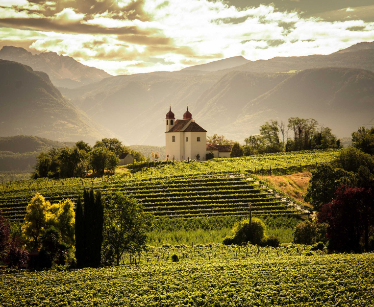the alpine soul of the Sauvignon of San Michele Appiano • Food and Wine Italia