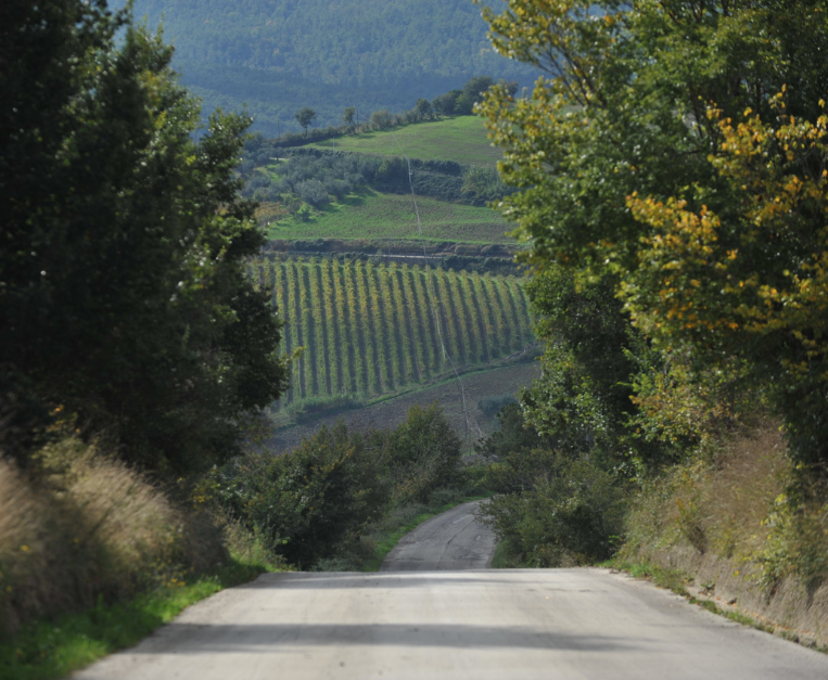 Strada Molise
