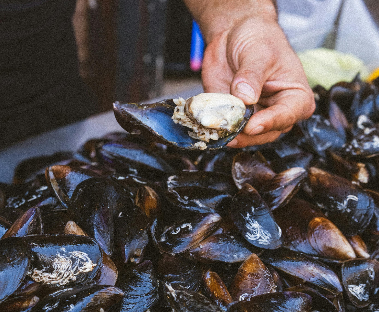 crudi-di-mare-puglia-tradizione-sicurezza-alimentare-cozze