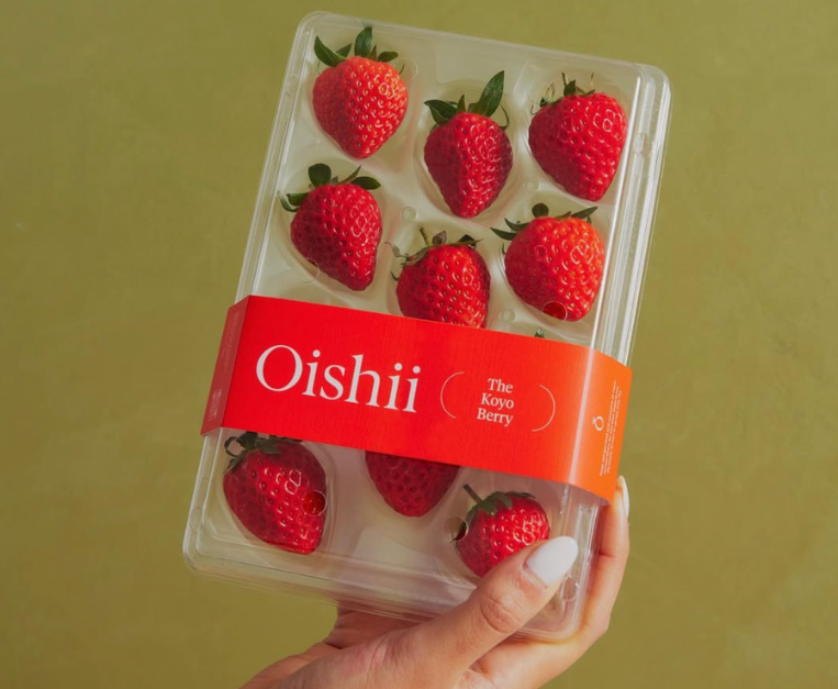 oishii-fragole-lusso-new-york