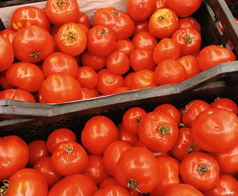 prezzo-pomodoro-da-conserva-industria