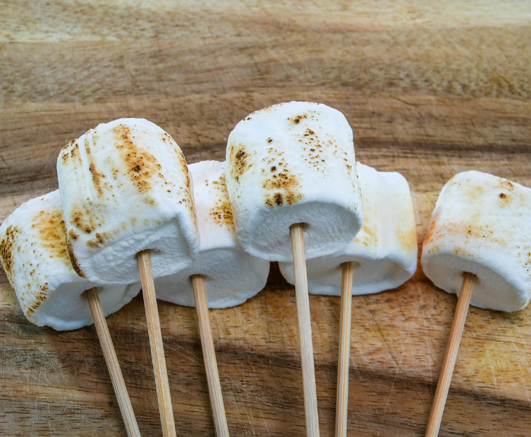 storia-marshmallow-origine-pianta