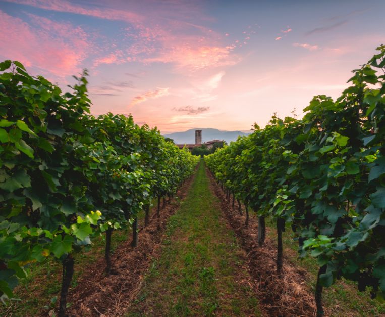 Franciacorta