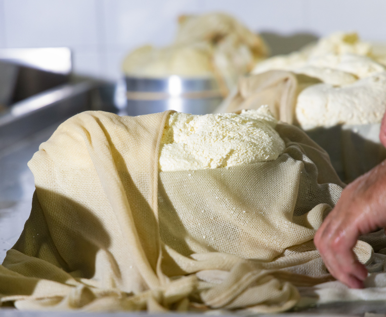 formaggio di malga