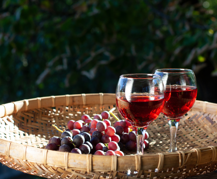 marocco-vino-produttori