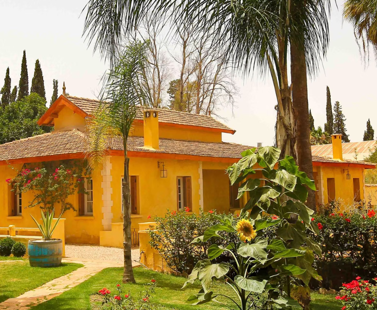 marocco-vino-viticoltura-meknes-produttori