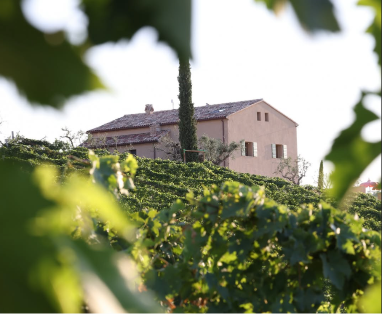 carlo-cracco-vistamare-agriturismo-ristorante-santarcangelo-romagna