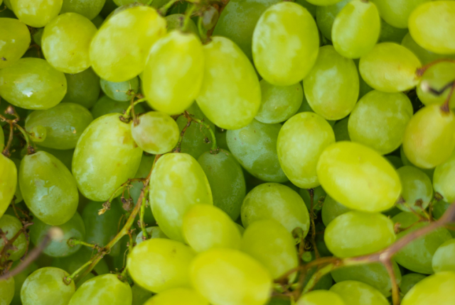 12-chicchi-uva-capodanno-origine-tradizione