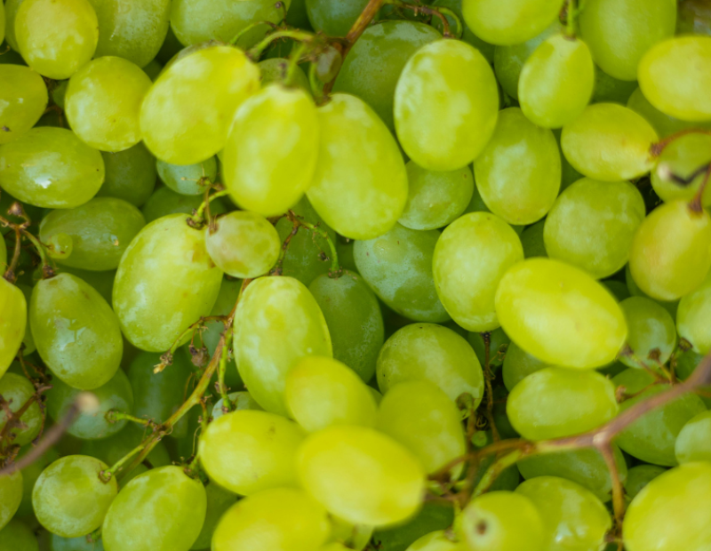 12-chicchi-uva-capodanno-origine-tradizione