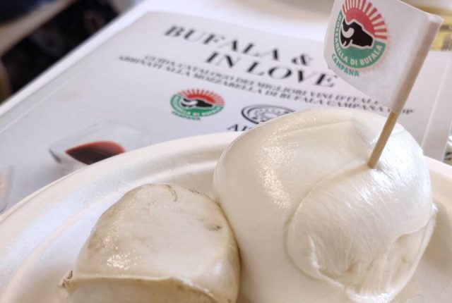 mozzarella di bufala campana dop