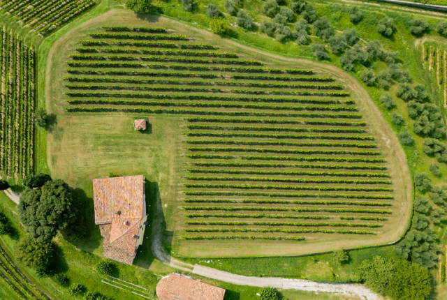 Berlucchi Franciacorta