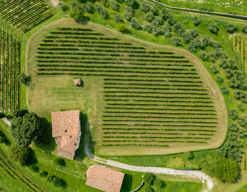 Berlucchi Franciacorta