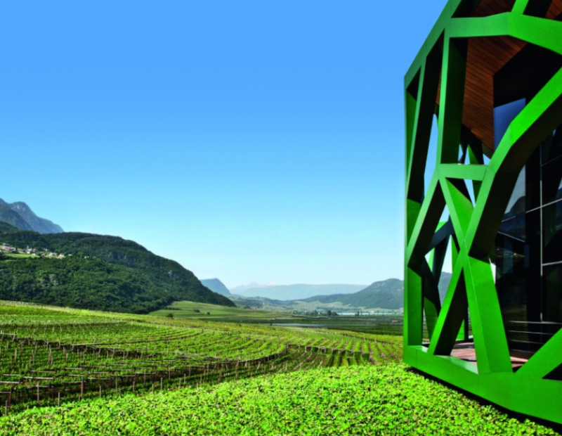 50-cantine-top-2025-cantina-tramin