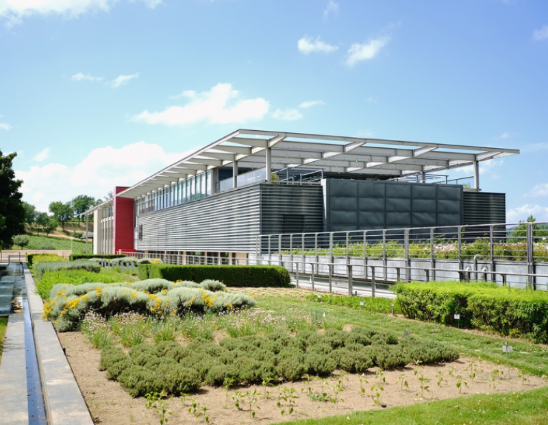 50-cantine-top-2025-feudi-di-san-gregorio