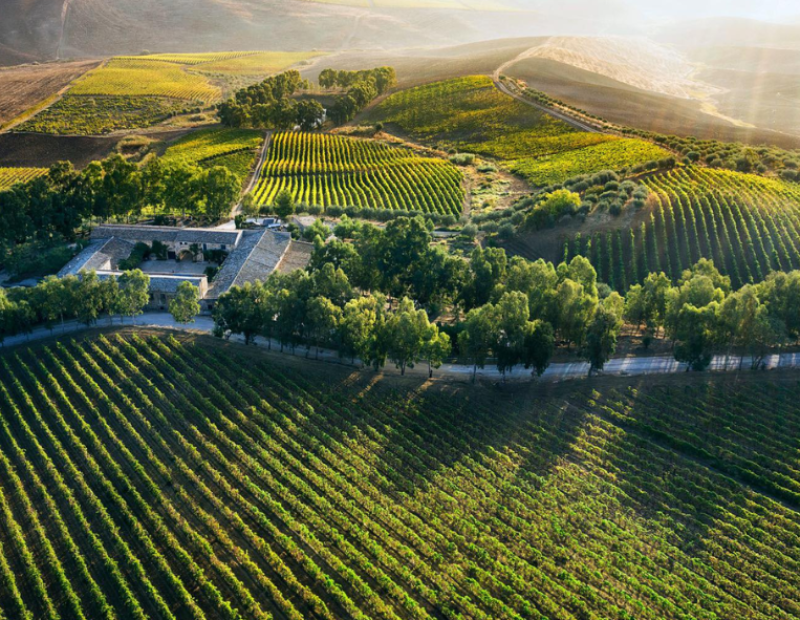 50-cantine-top-2025-feudo-montoni