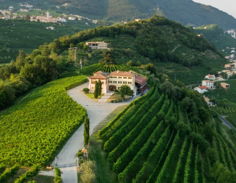 50-cantine-top-2025-masi