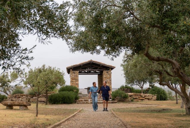 50-cantine-top-2025-olianas