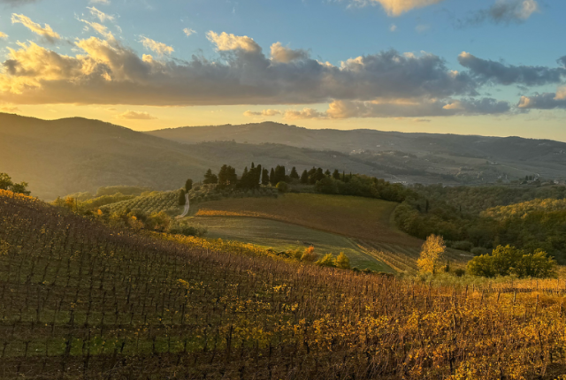50-cantine-top-2025-querciabella