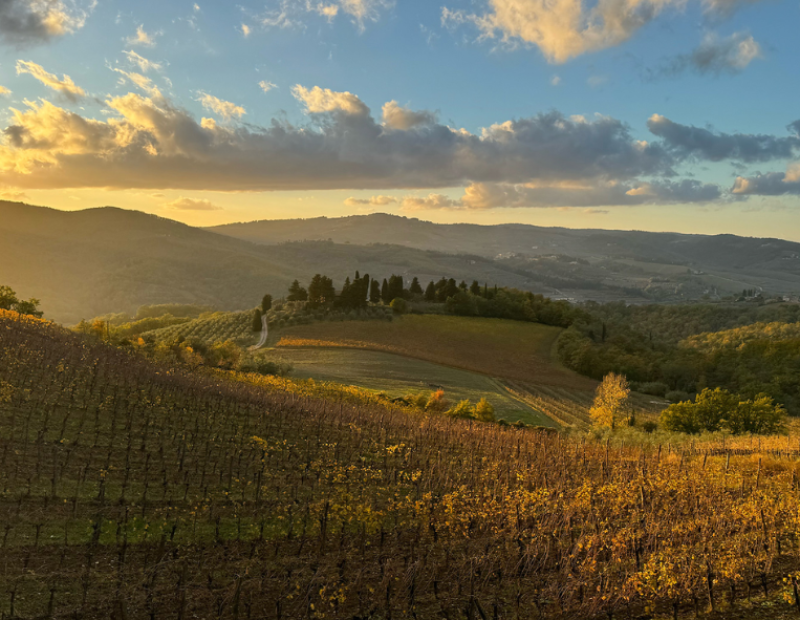 50-cantine-top-2025-querciabella