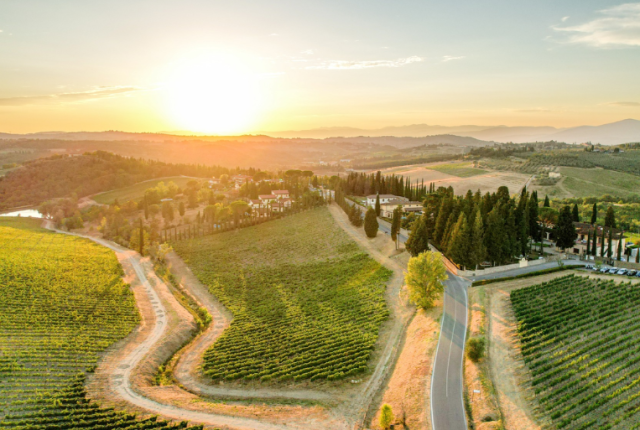 50-cantine-top-2025-ruffino