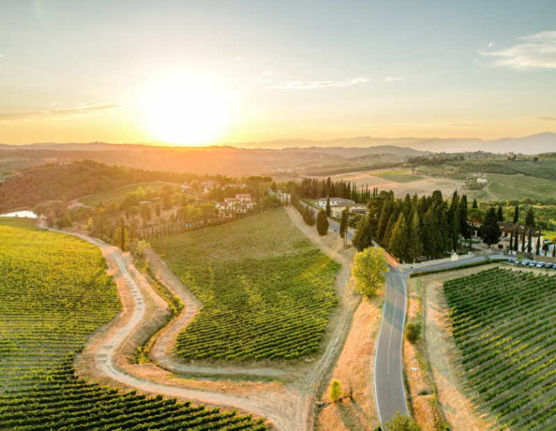 50-cantine-top-2025-ruffino