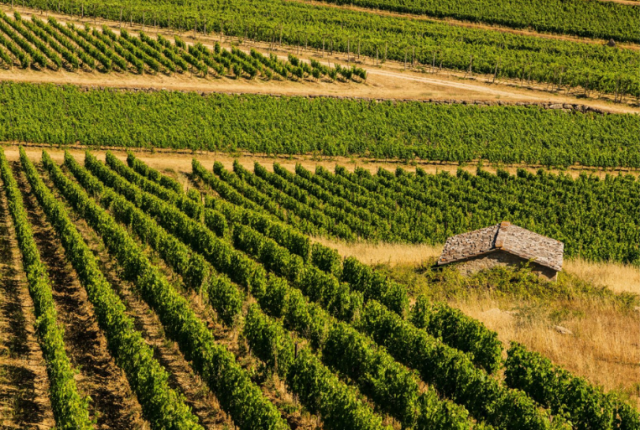 50-cantine-top-2025-san-felice