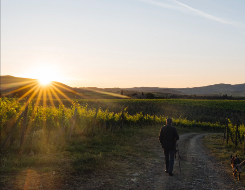 50-cantine-top-col-dorcia