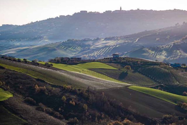 Abruzzo Agricola Cirelli