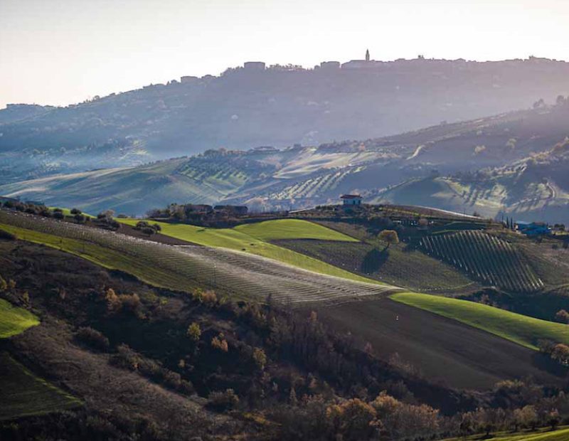 Abruzzo Agricola Cirelli