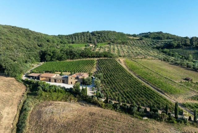 Aminta a Montalcino