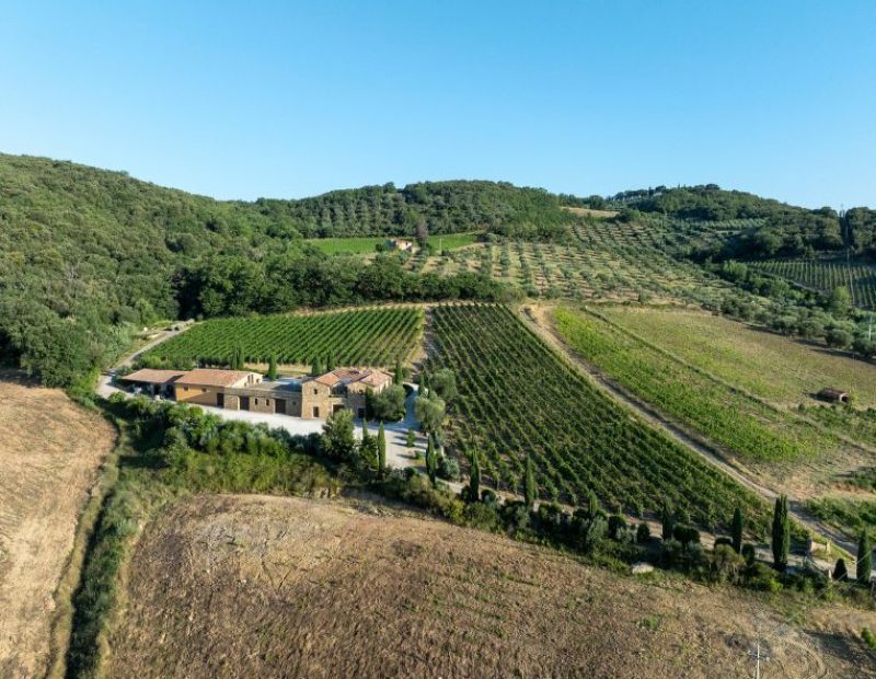 Aminta a Montalcino