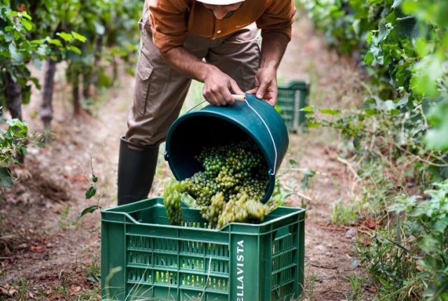 Bellavista Bellavista