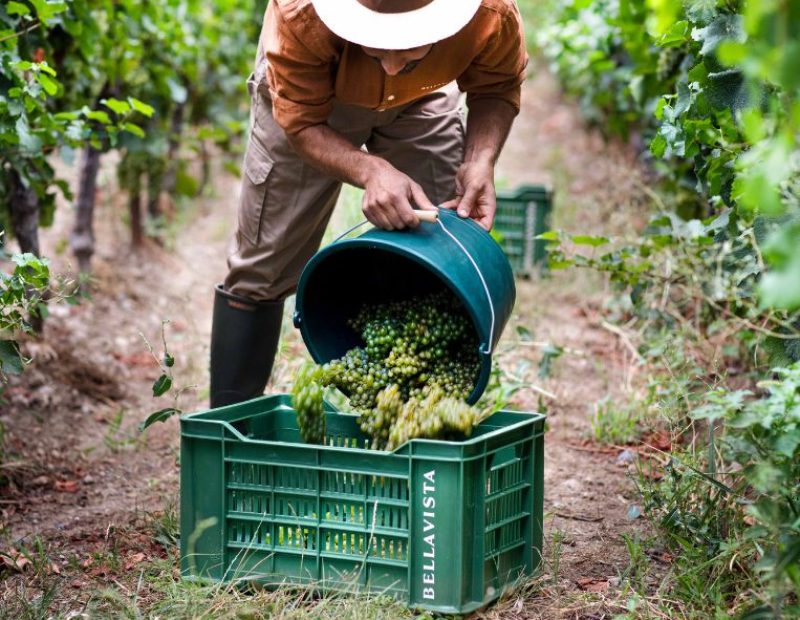 Bellavista Bellavista