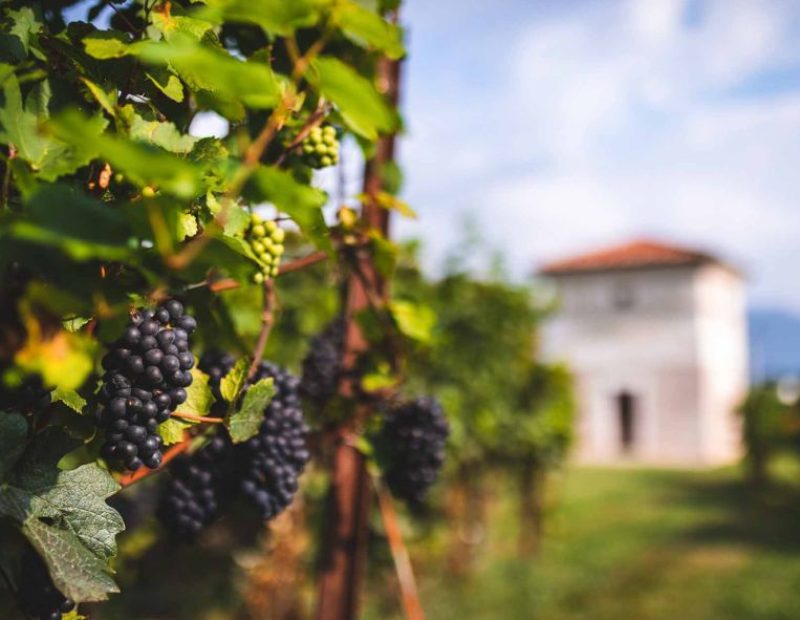 Berlucchi Franciacorta Berlucchi Franciacorta