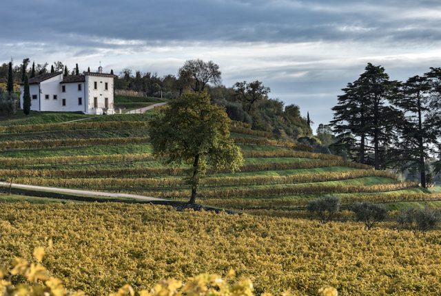 cantine Bertani