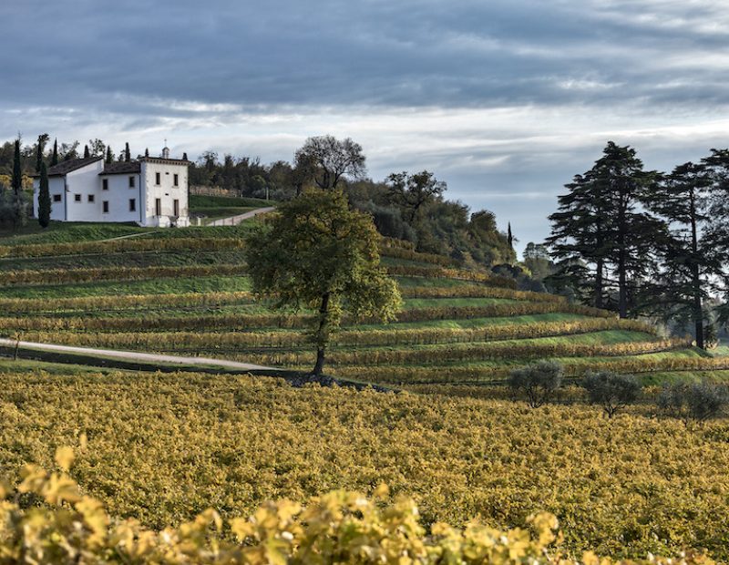 cantine Bertani