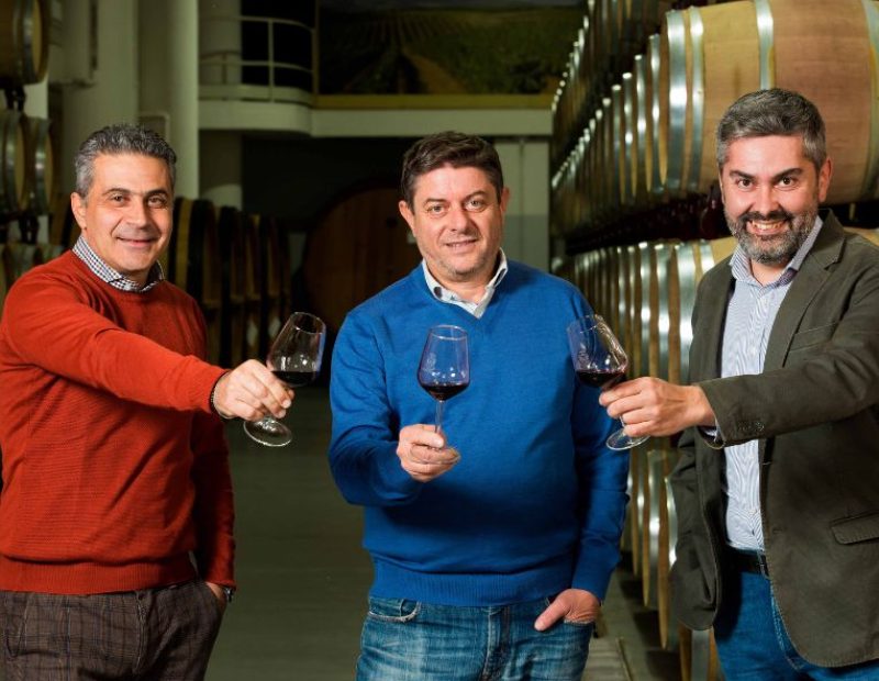 Cantina di Venosa Cantina di Venosa